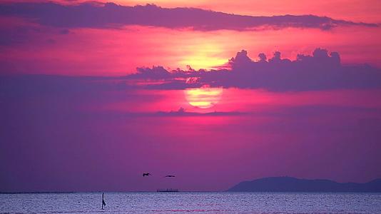 天空中有日落和紫云渡船海鸟飞翔视频的预览图