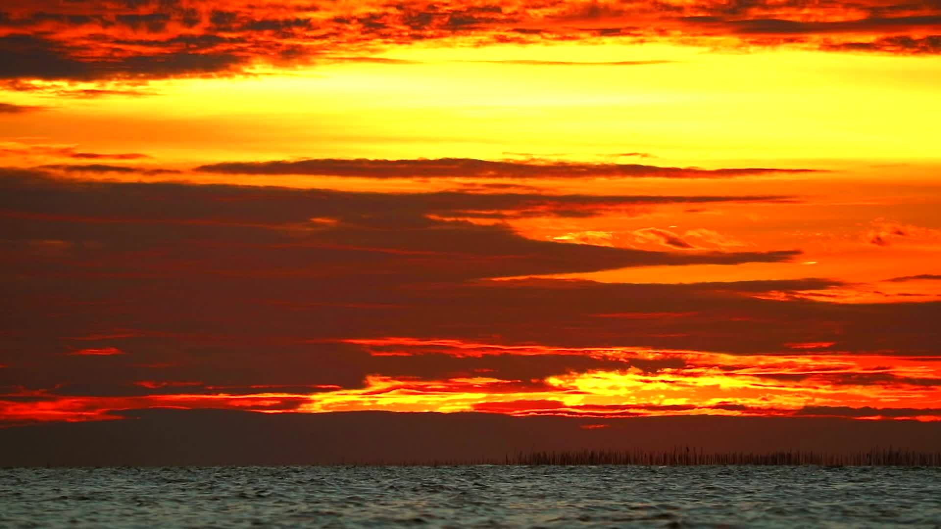 橙色天空的红色日落和海上的暗红云鸟飞回来视频的预览图
