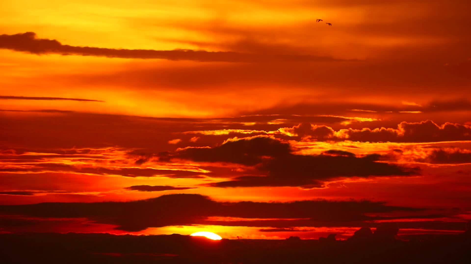 日落后黑暗的红云火焰在天空中飞回家视频的预览图