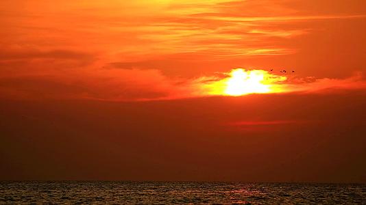 橙色的乌云和在天空中飞翔的鸟儿背上的夕阳视频的预览图