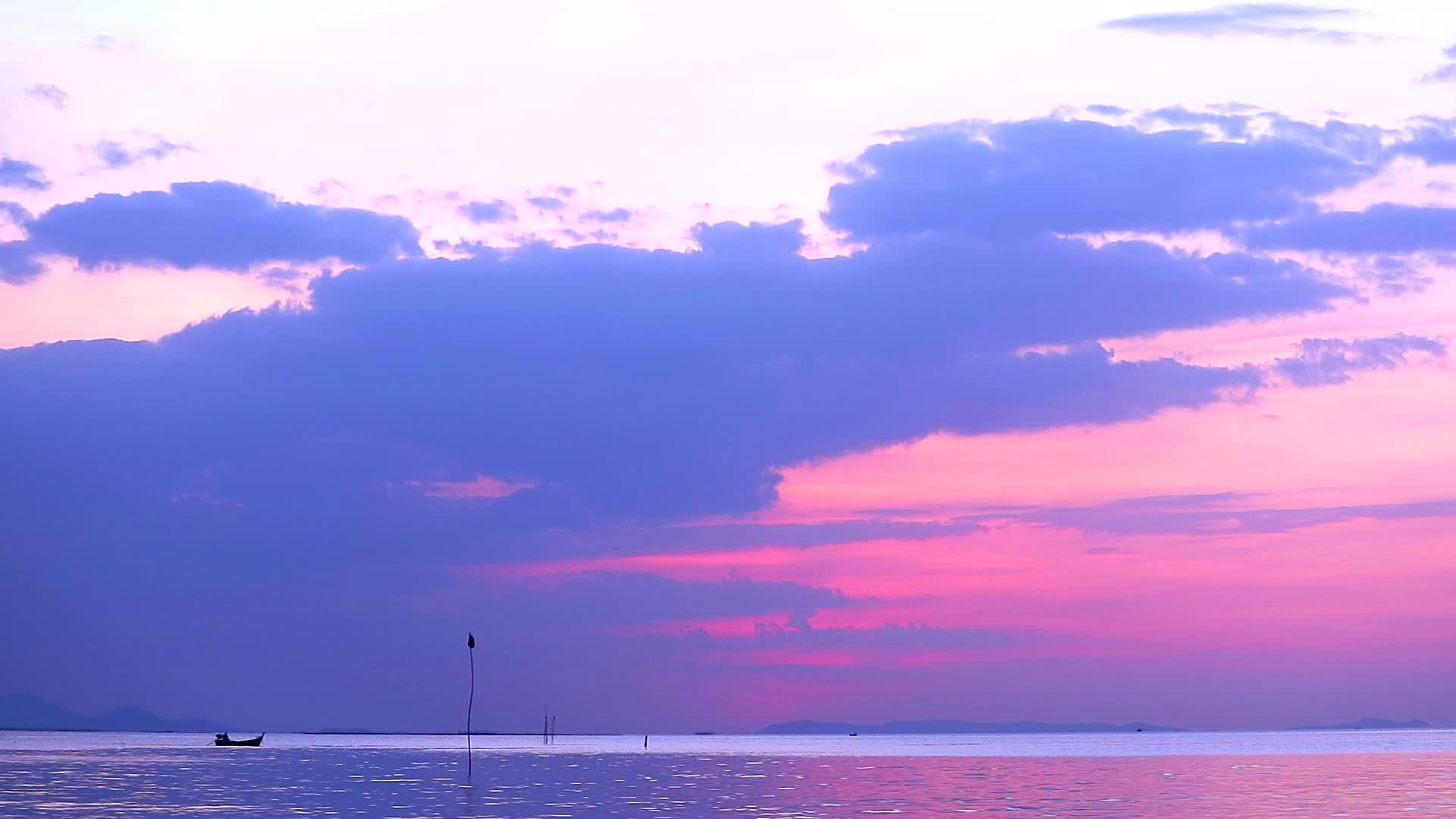 海上有海鲜和紫色粉色面条视频的预览图