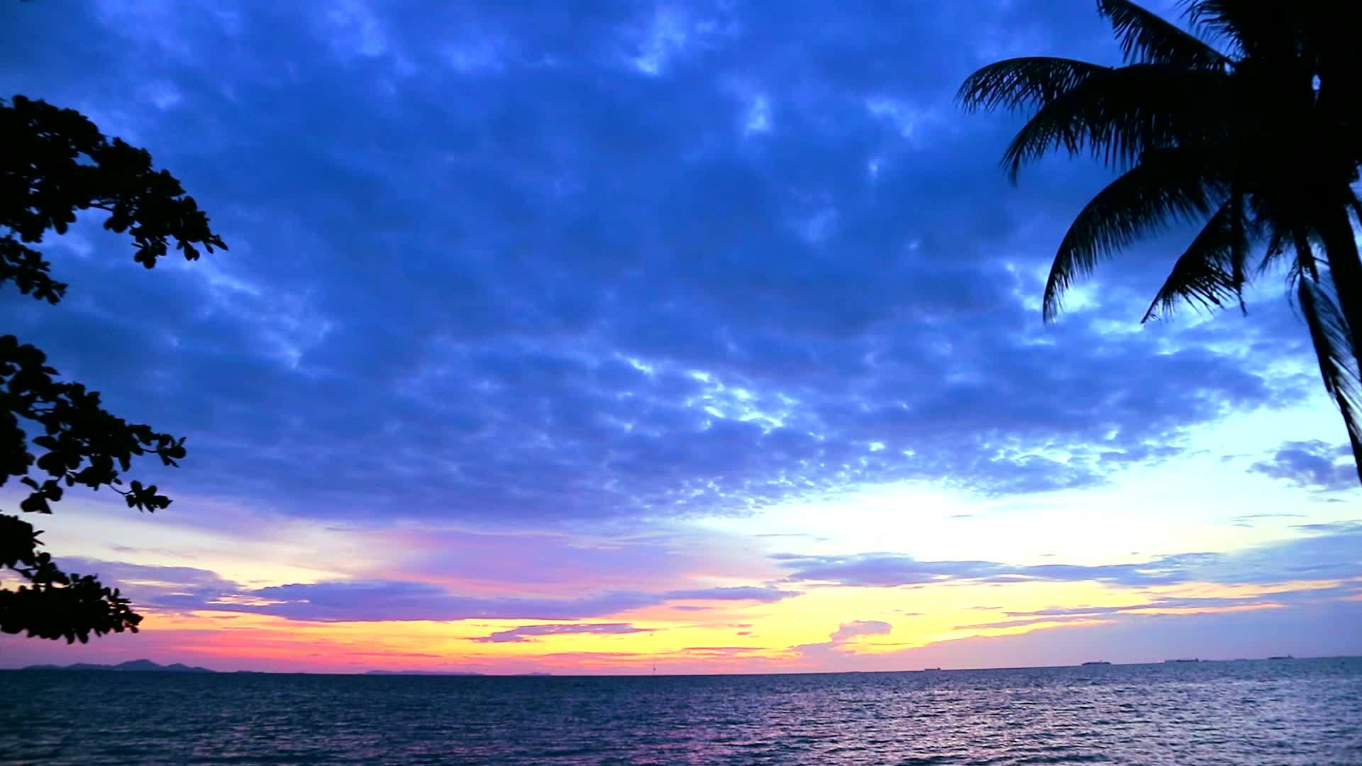 在海面和天空的深蓝色云下浅月光下的椰子日落视频的预览图