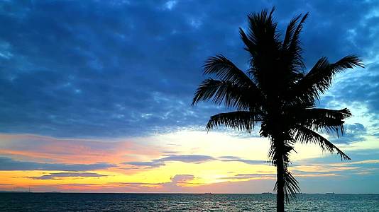 海中月光的椰子日落和多彩的天空中的红云视频的预览图