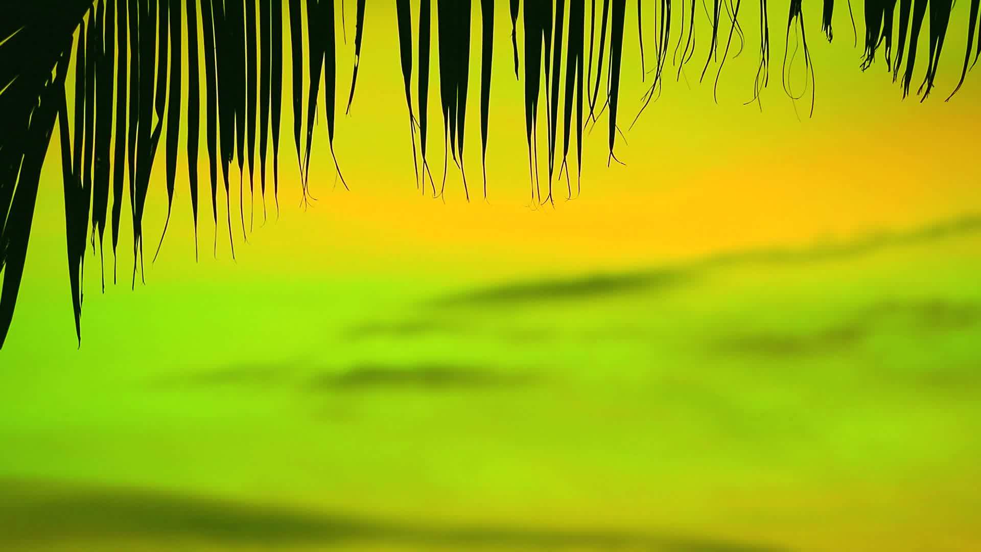 圆圆的干椰子叶帽在绿色的日子里模糊了天空视频的预览图