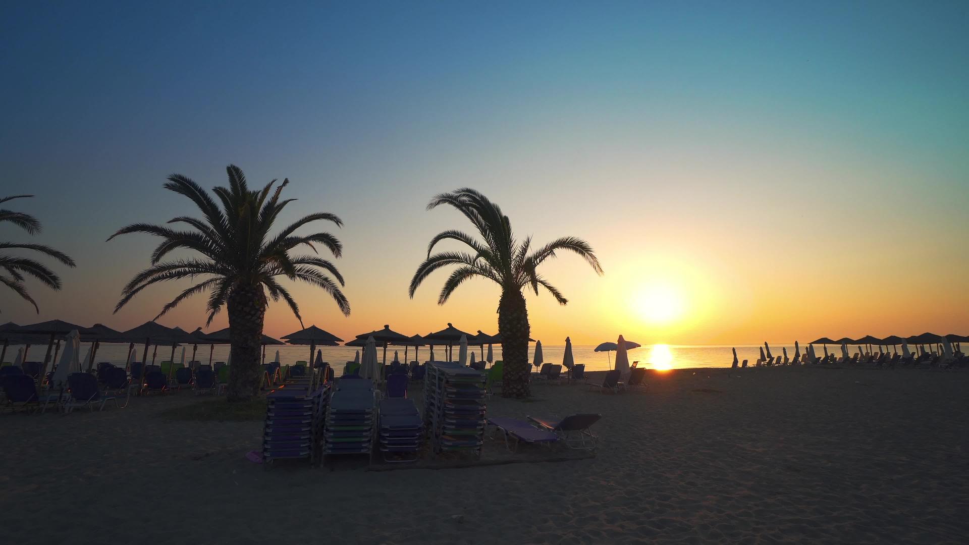 日落时海滩上的棕榈树和椰子树的古老音调稳定地拍摄视频的预览图