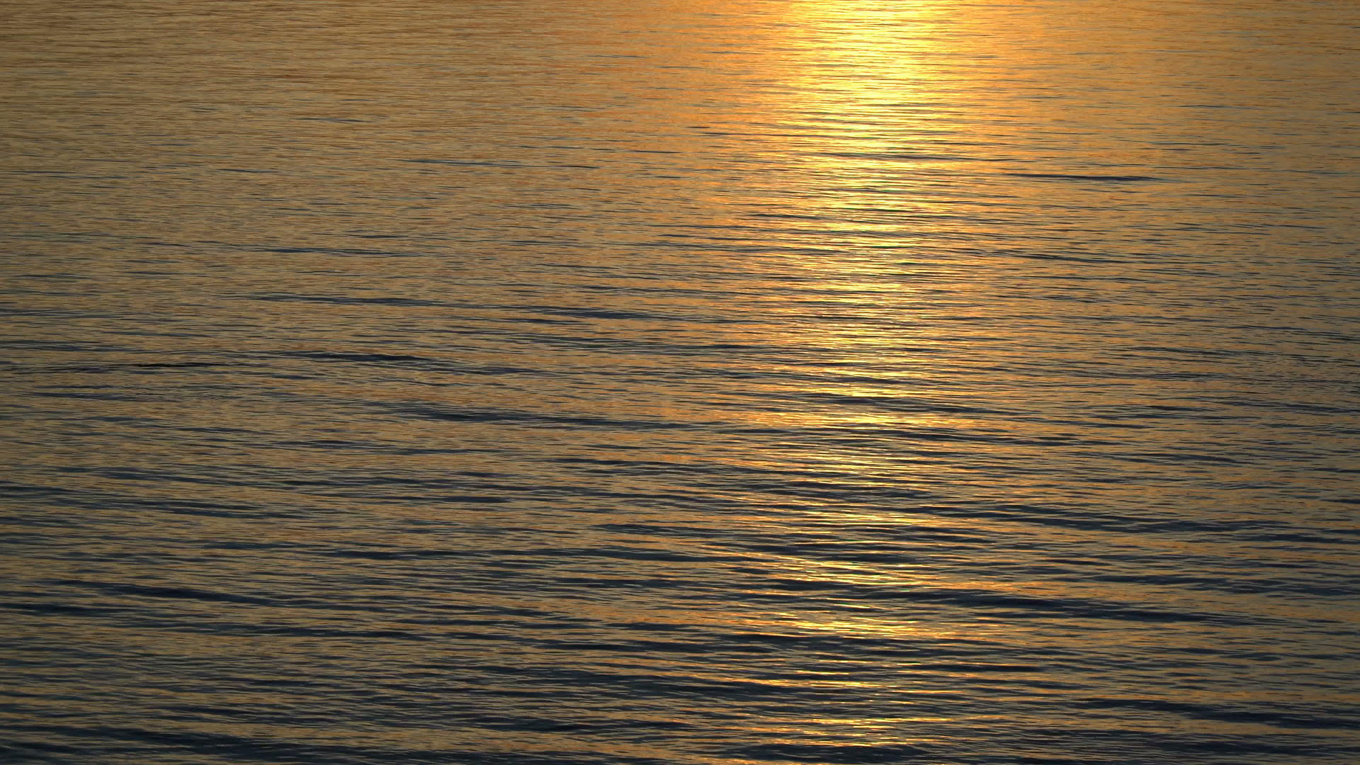 美丽的金色夕阳在水中反射视频的预览图