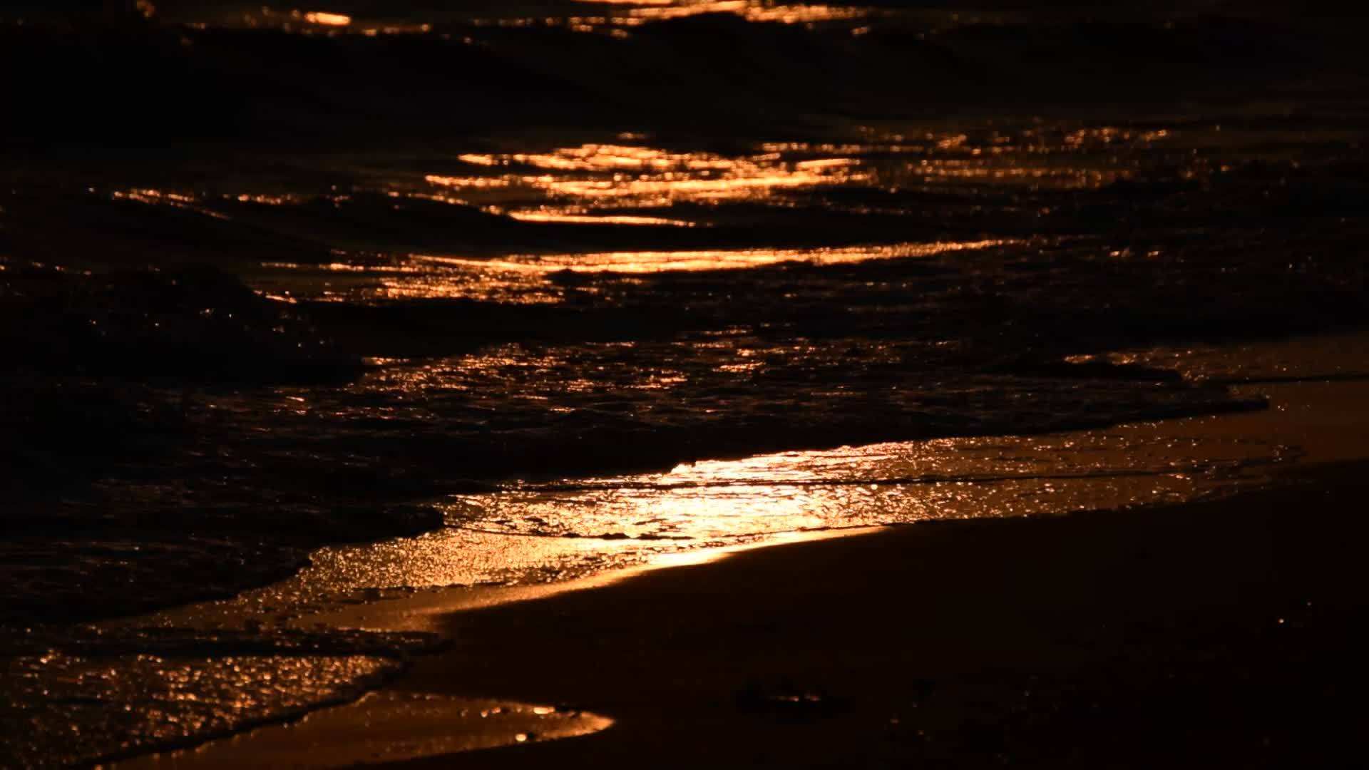海滩和海边的日落视频的预览图