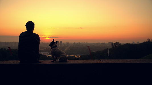 一个男人和他的狗正在看日落视频的预览图