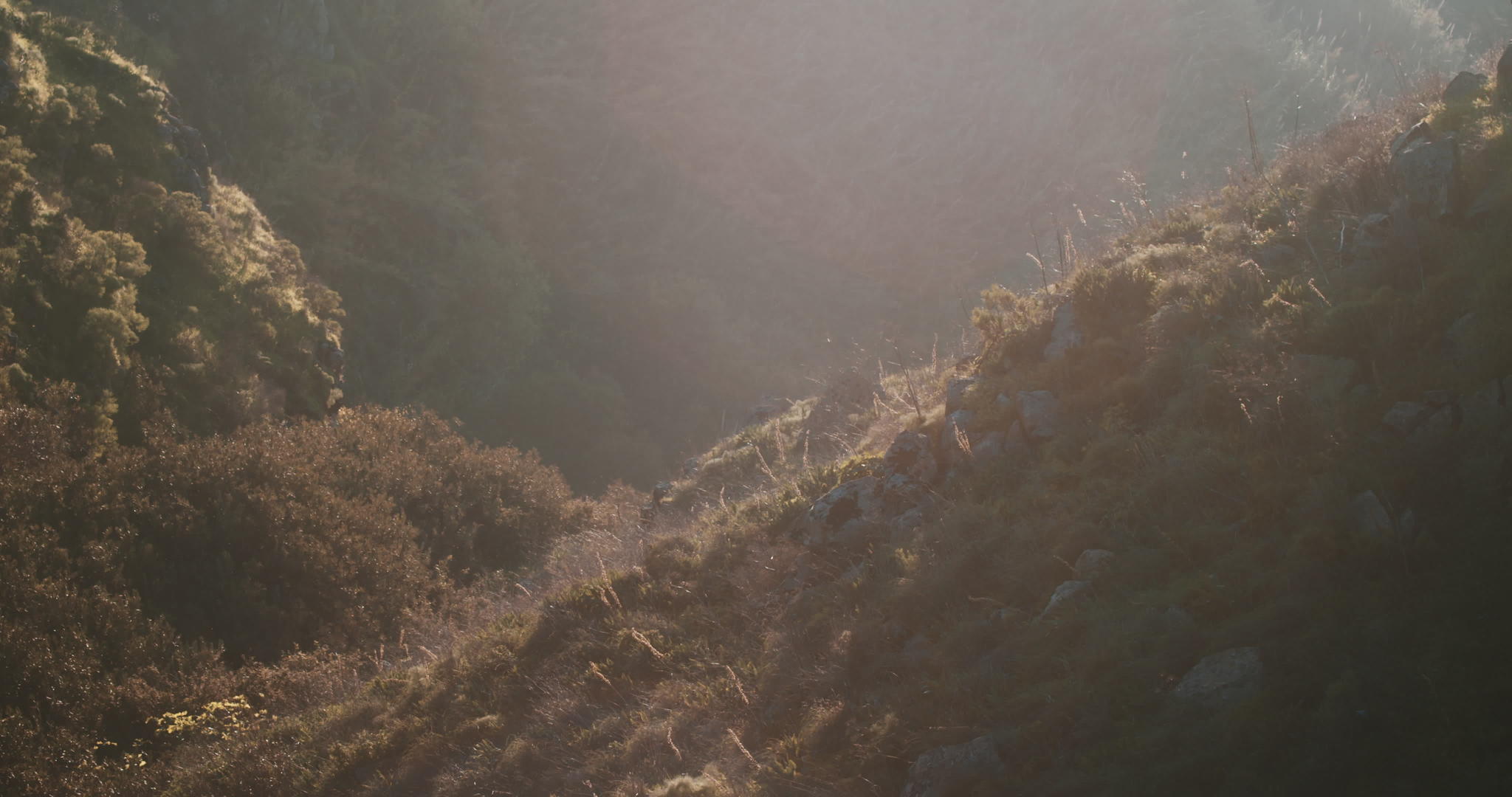 日落时的野生山地景观视频的预览图