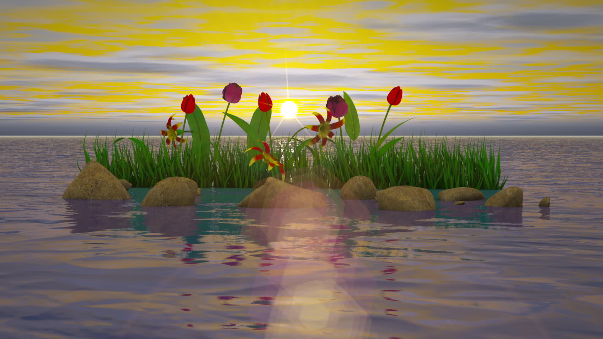水中的花和石视频的预览图