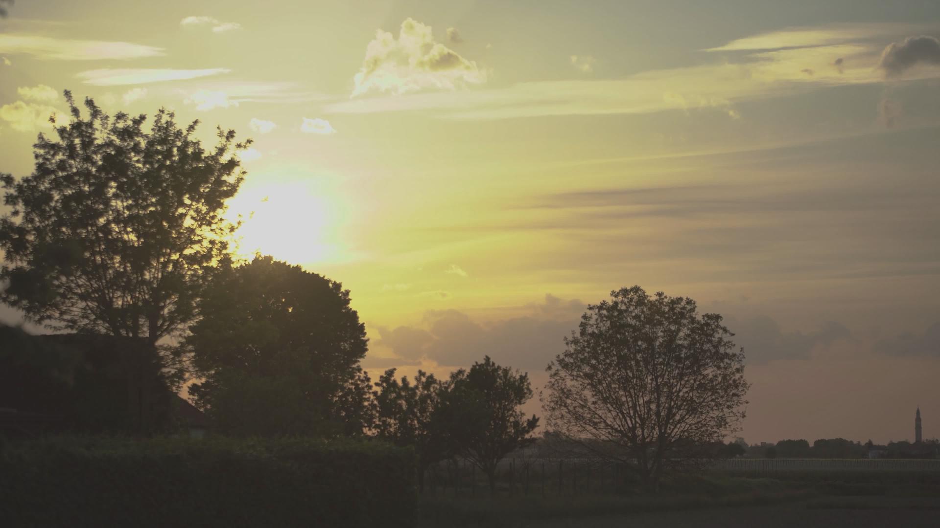 风景树的日落视频的预览图