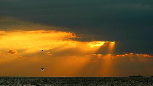 愿主保佑阳光日落回到海边的橙色乌云鸟儿飞回来视频的预览图