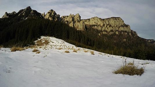 冬天的风景靠近森林视频的预览图
