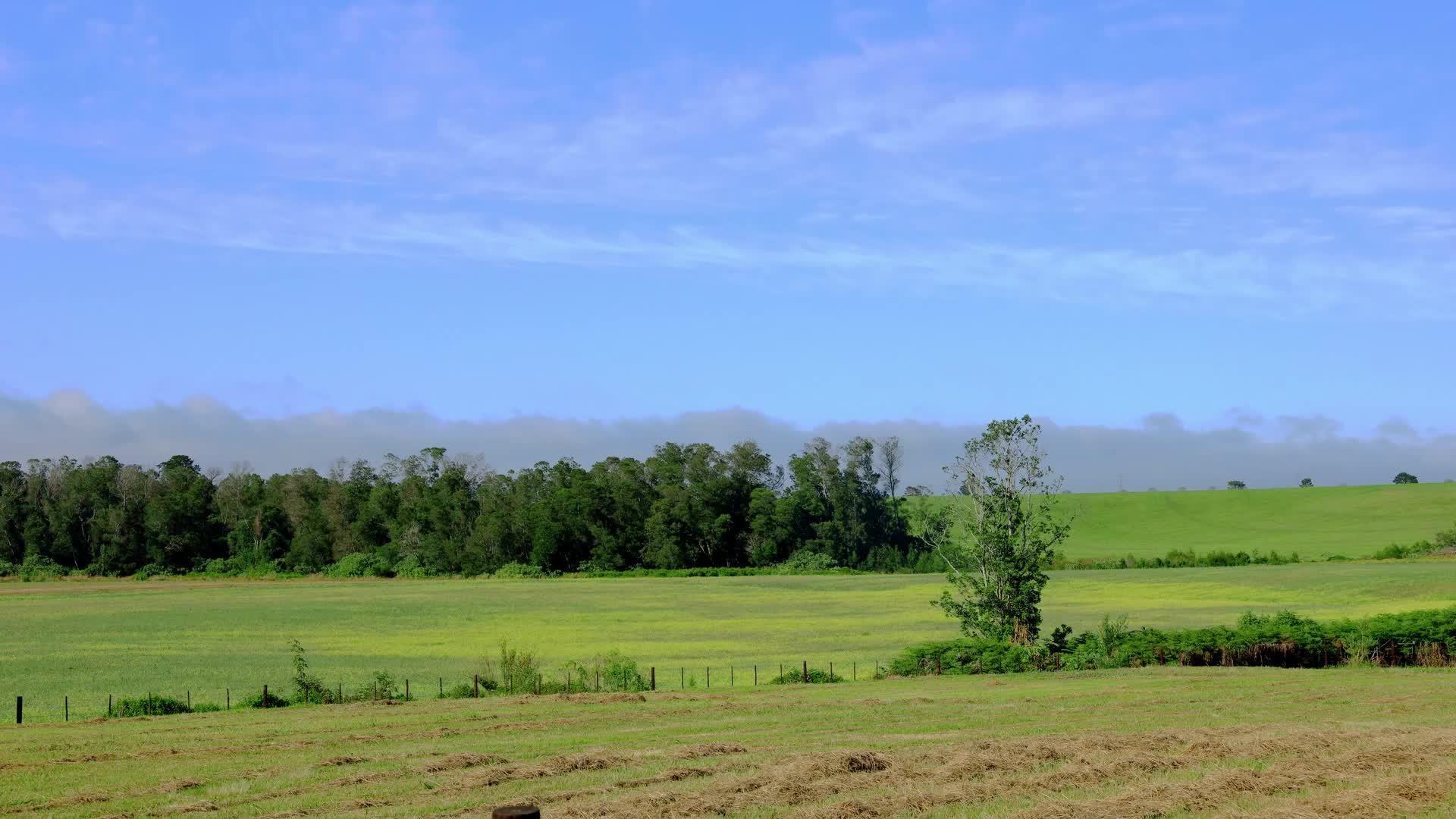 农村农业景观因云层而消失的时间视频的预览图