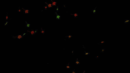 翻滚的秋天枫叶视频的预览图