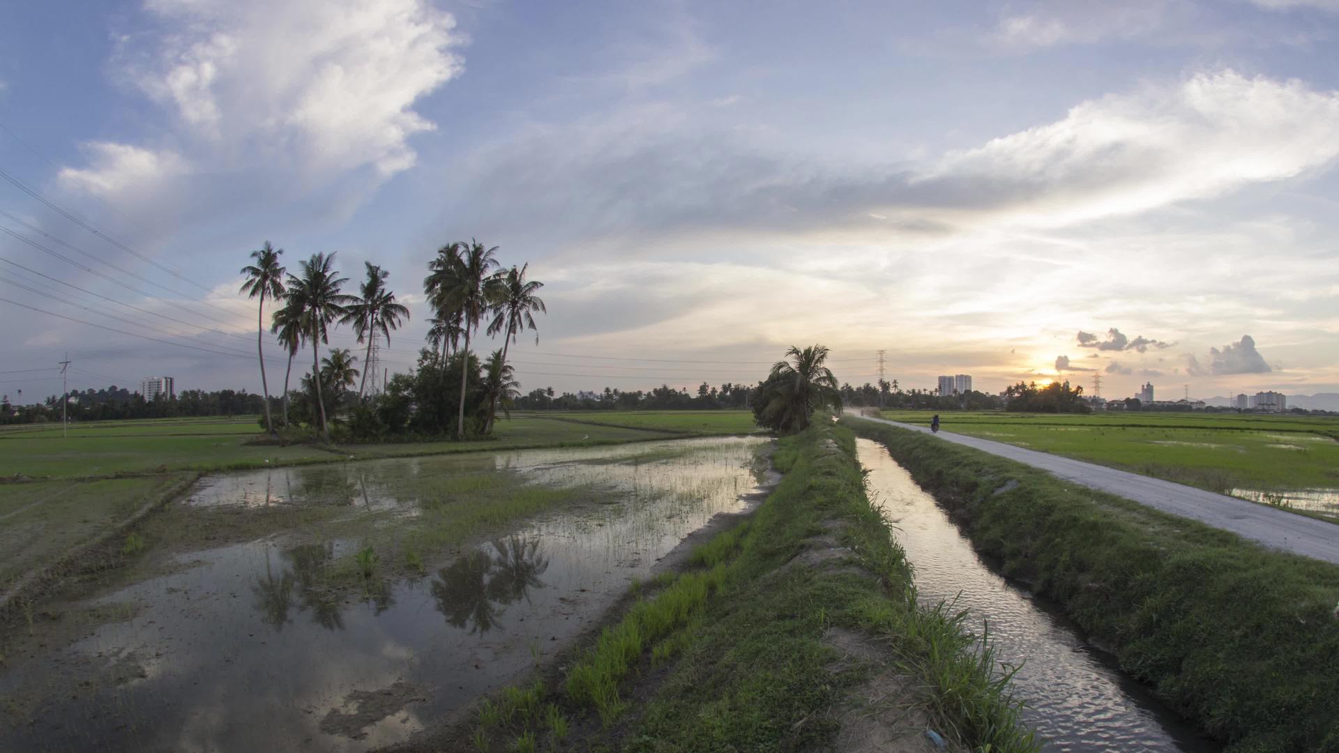 椰子农场洪水泛滥视频的预览图