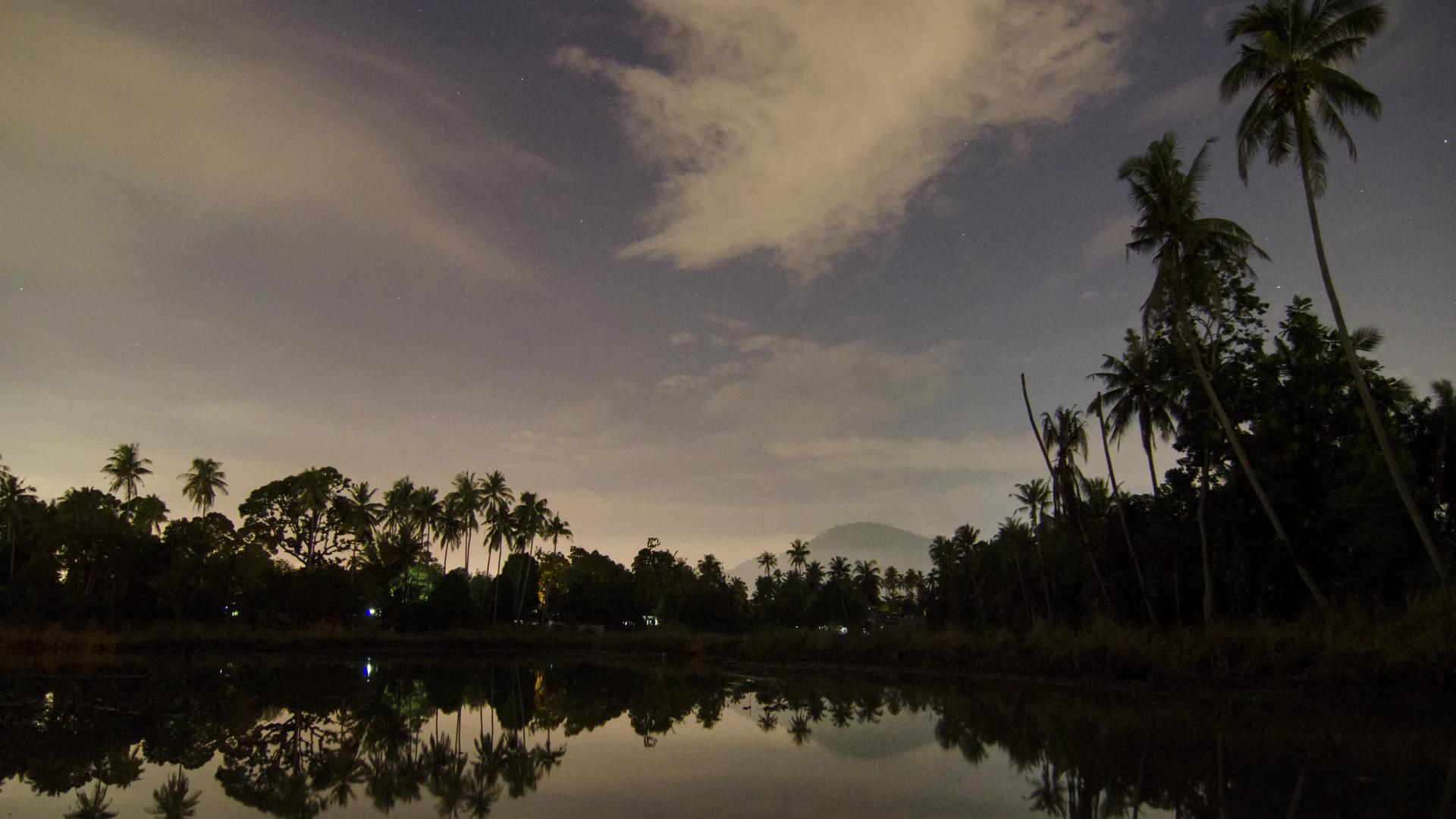 Malay农村Kampung种植园在夜间过夜视频的预览图