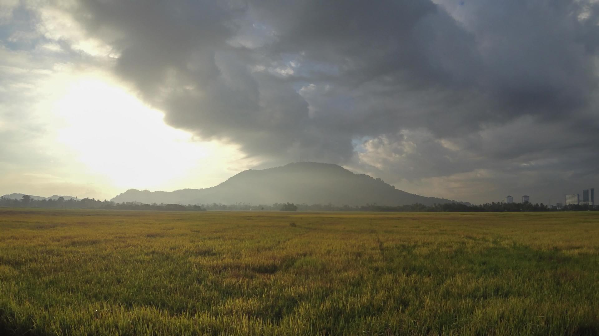 黄色稻田Sunrie背景布基特海尔塔甘山视频的预览图