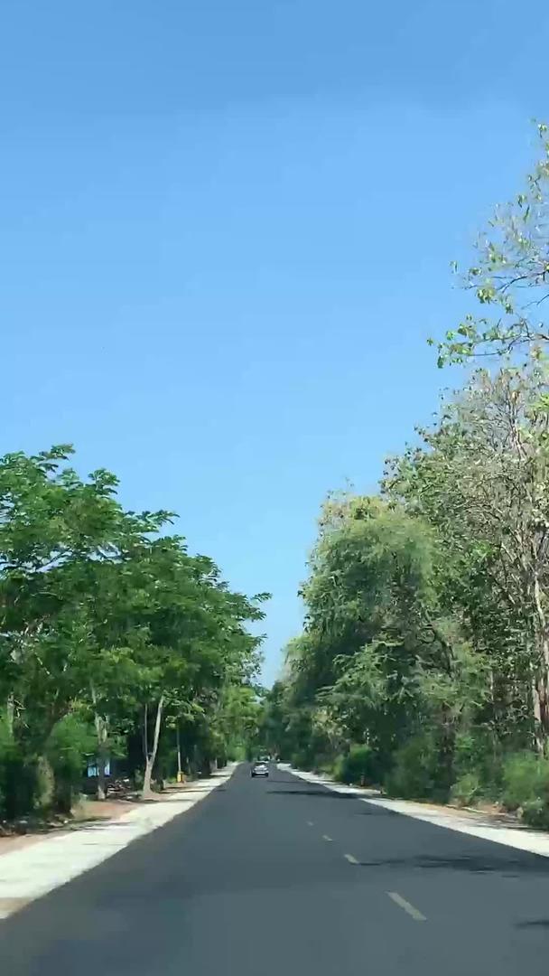印尼林间公路行驶第一视角视频的预览图