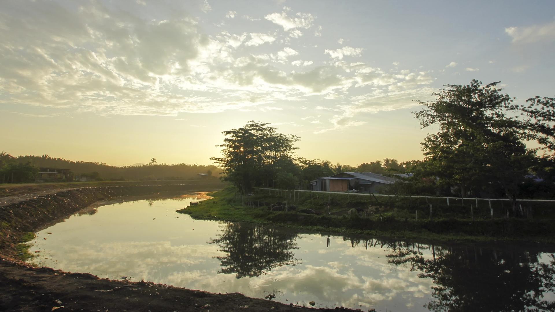 Malaykampung日出时间附近的河流视频的预览图