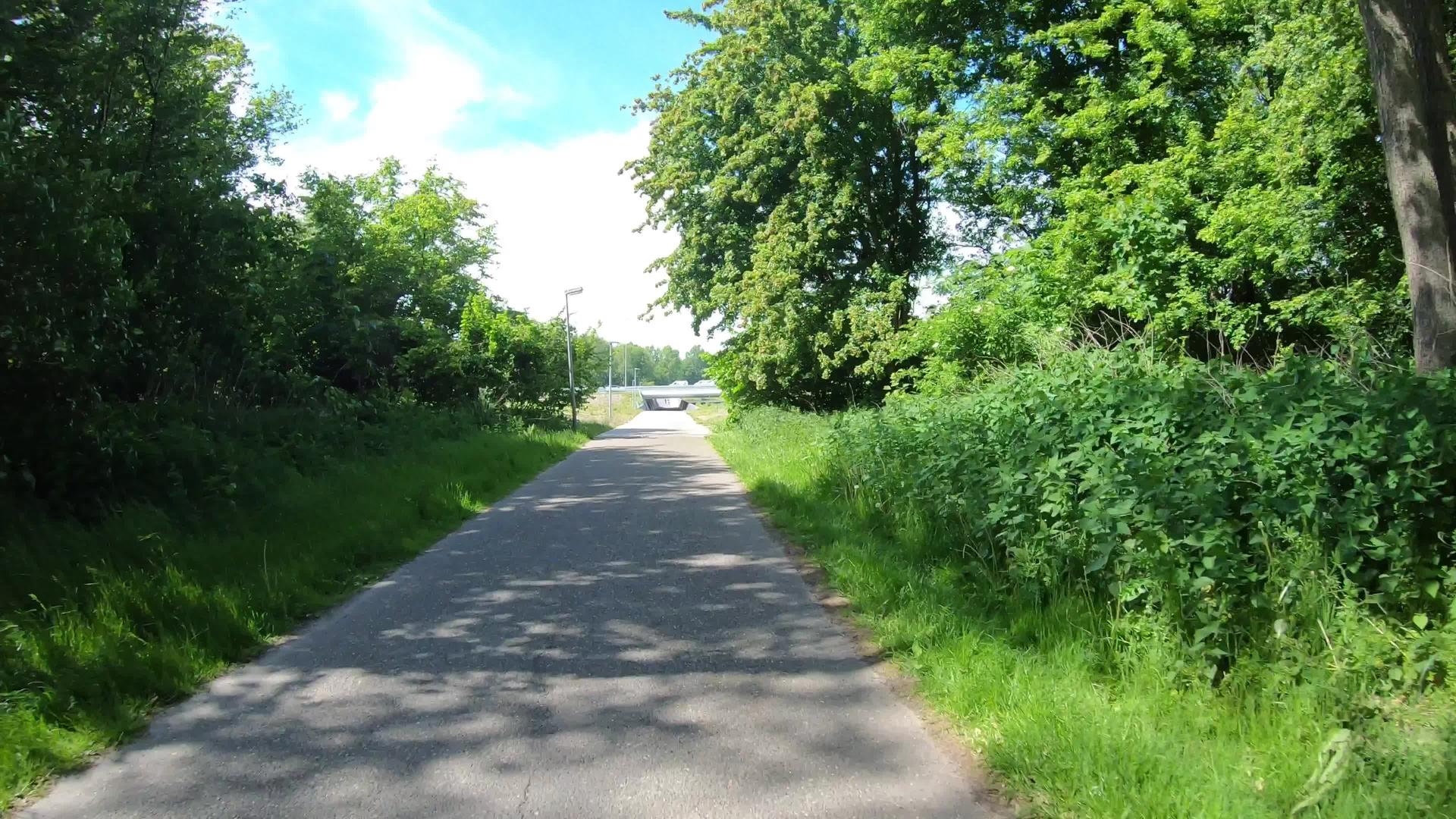 骑自行车在公园骑自行车视频的预览图