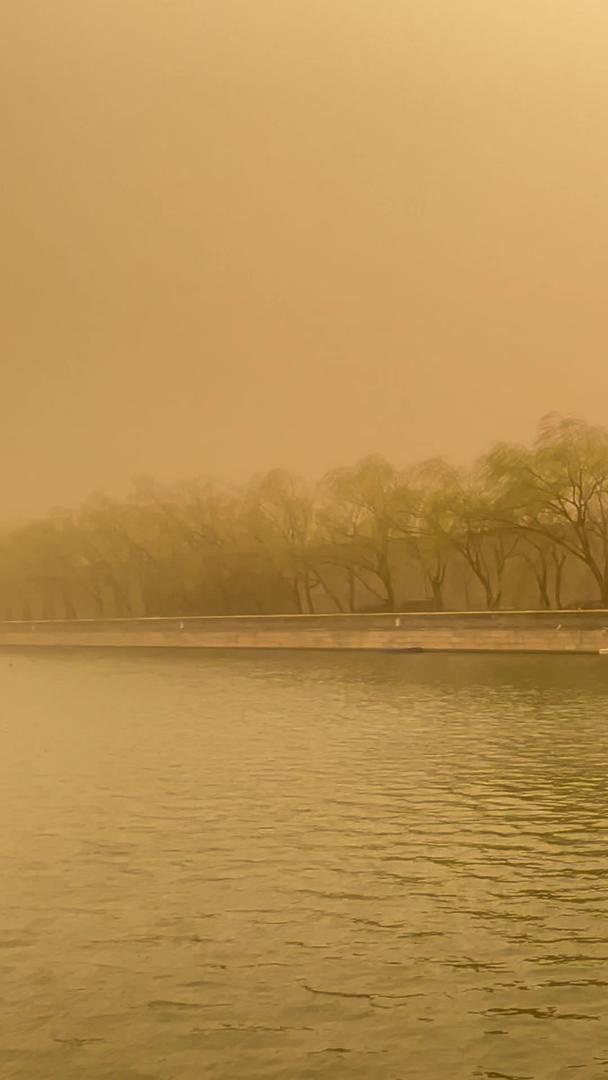 真正的沙尘暴紫禁城视频的预览图