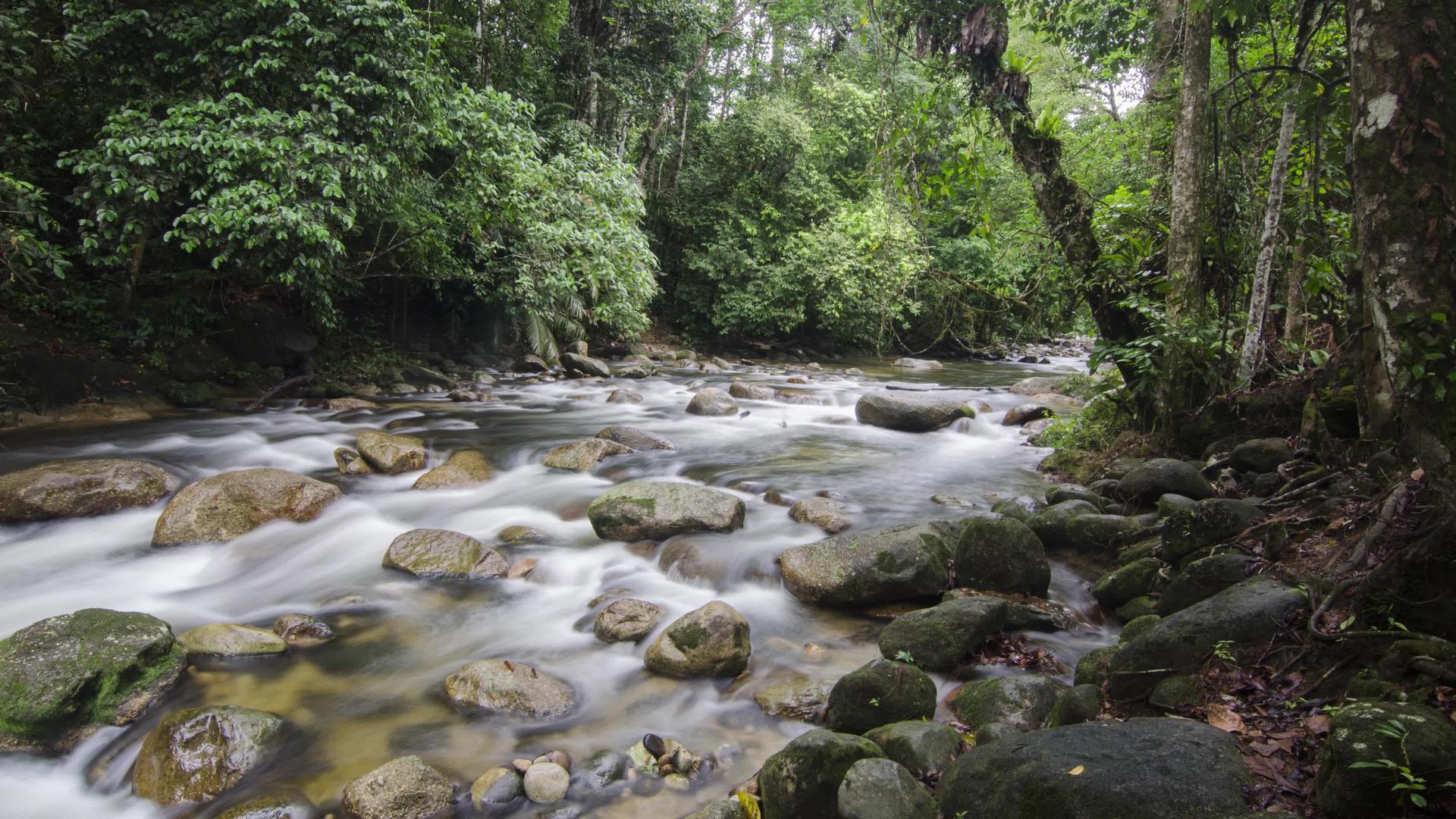 桑加伊河流在石头之间流动Sedimkulim视频的预览图