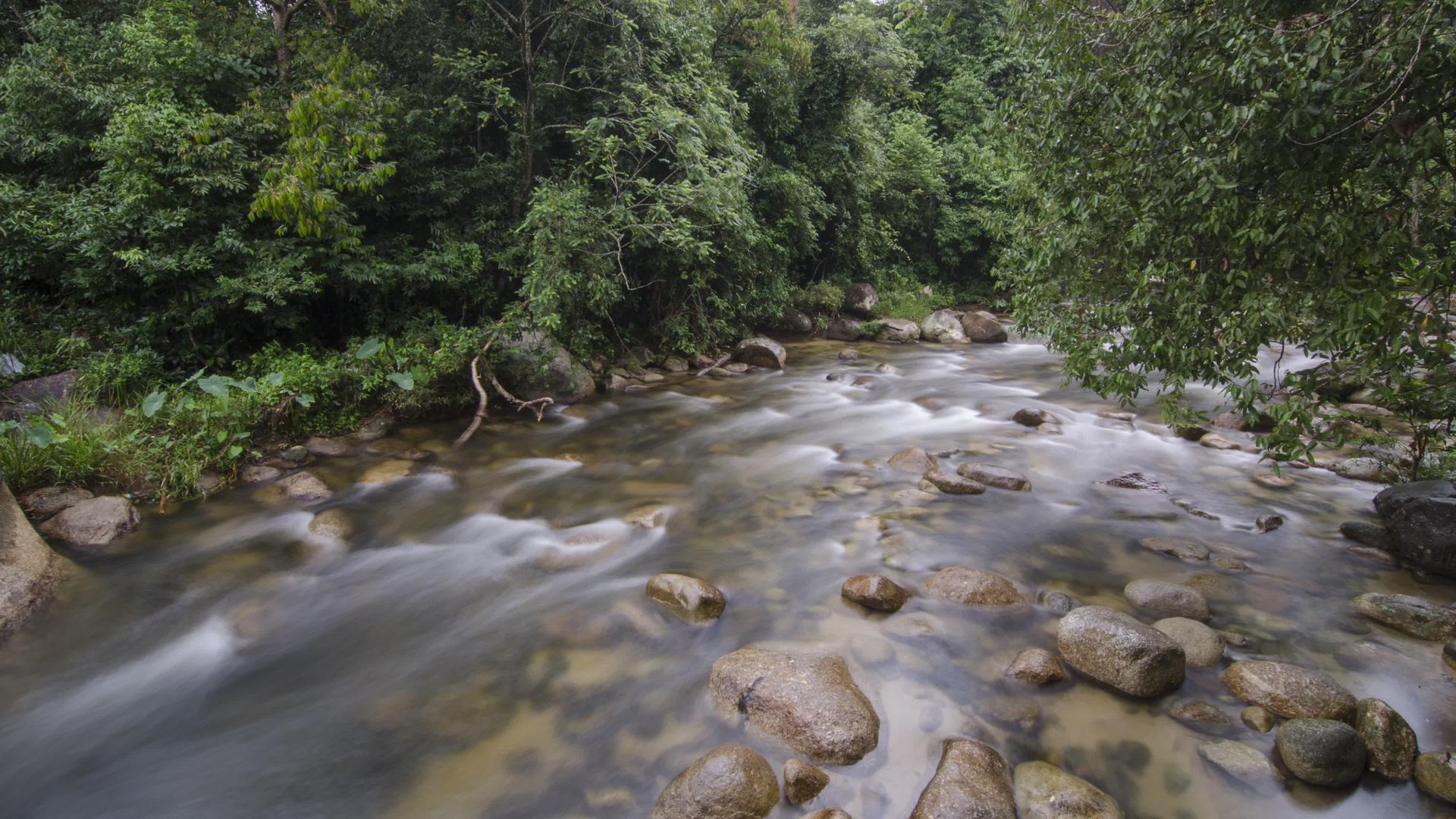 马来西亚的瀑布和河流视频的预览图