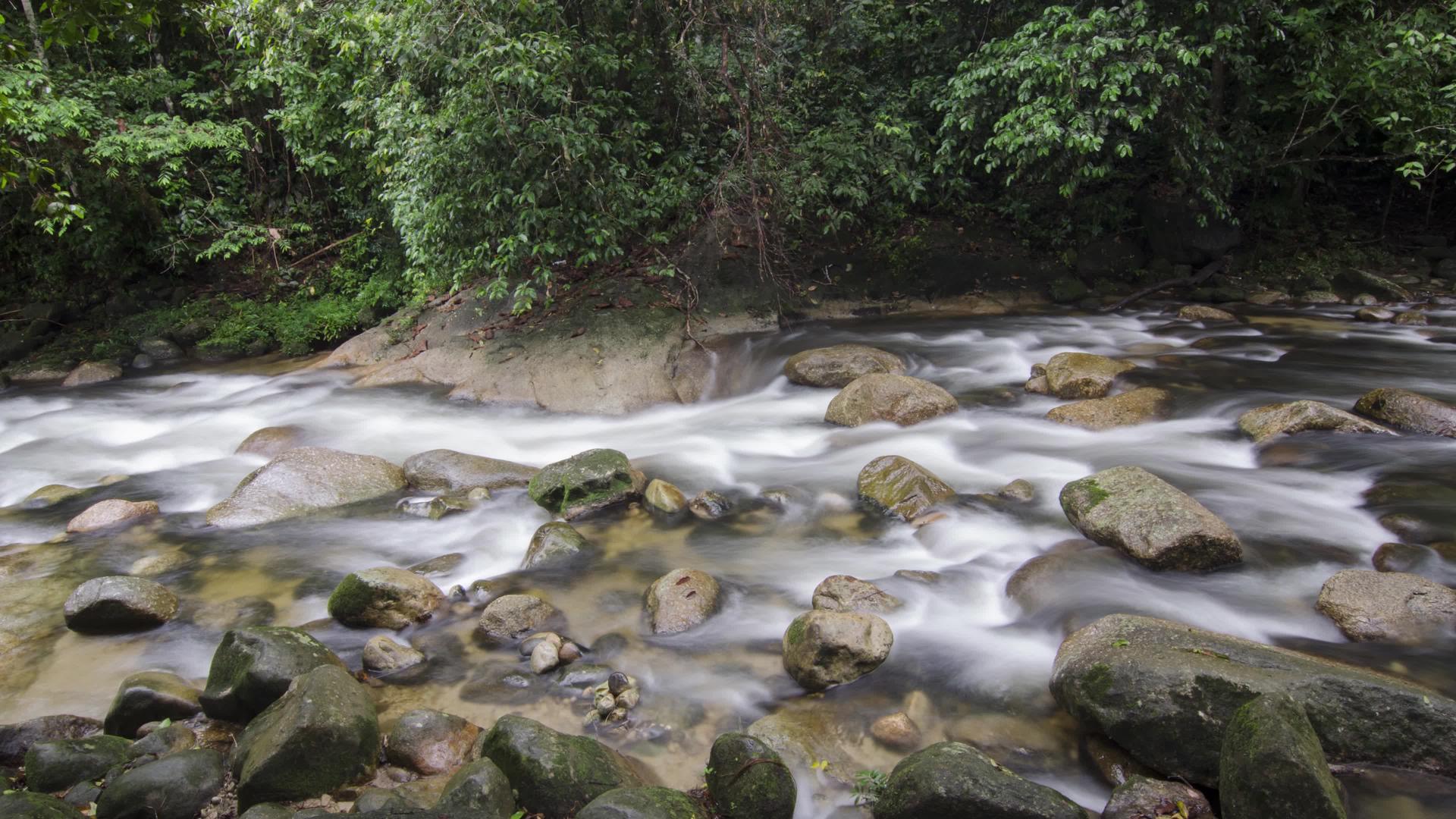 桑加伊桑加伊的瀑布岩石和丛林sedimkedahmalaysia视频的预览图