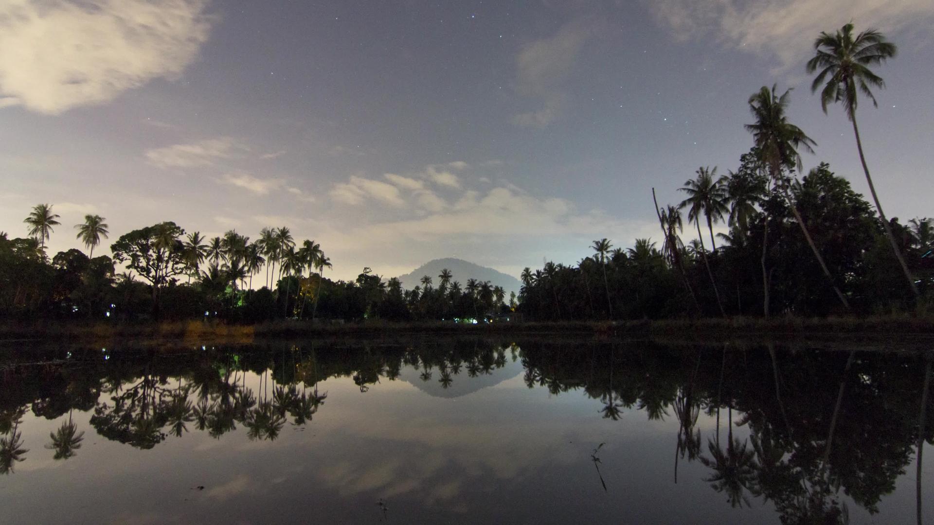 倒影椰子树的夜空视频的预览图