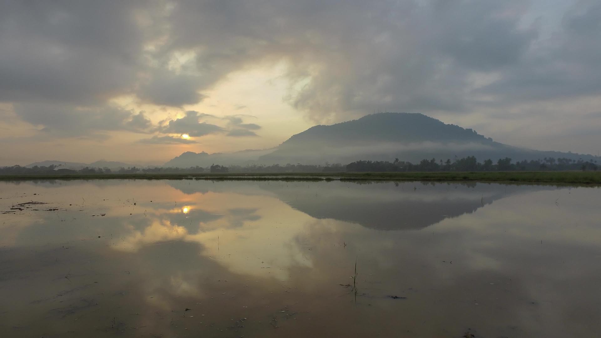 美丽的日出风景和稻田中的反射BukitMertajam视频的预览图