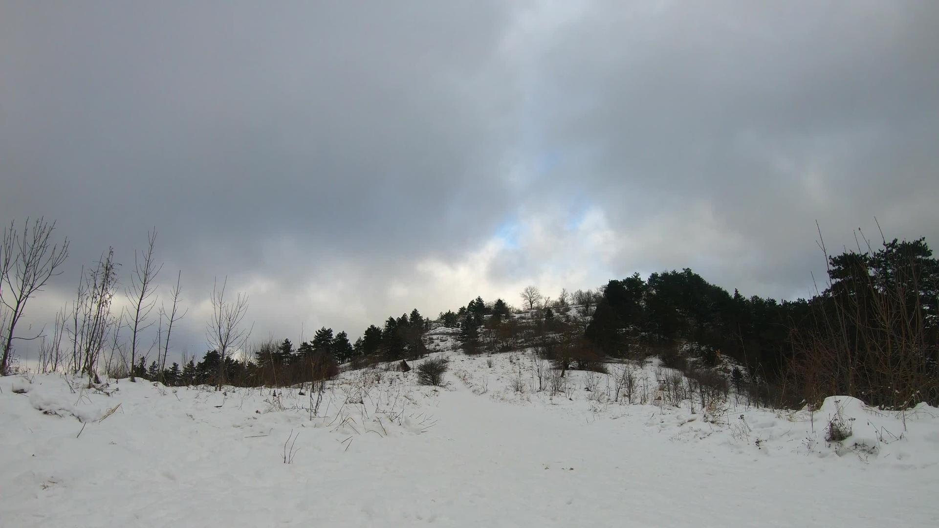 冬天过冬山上飘着森林视频的预览图