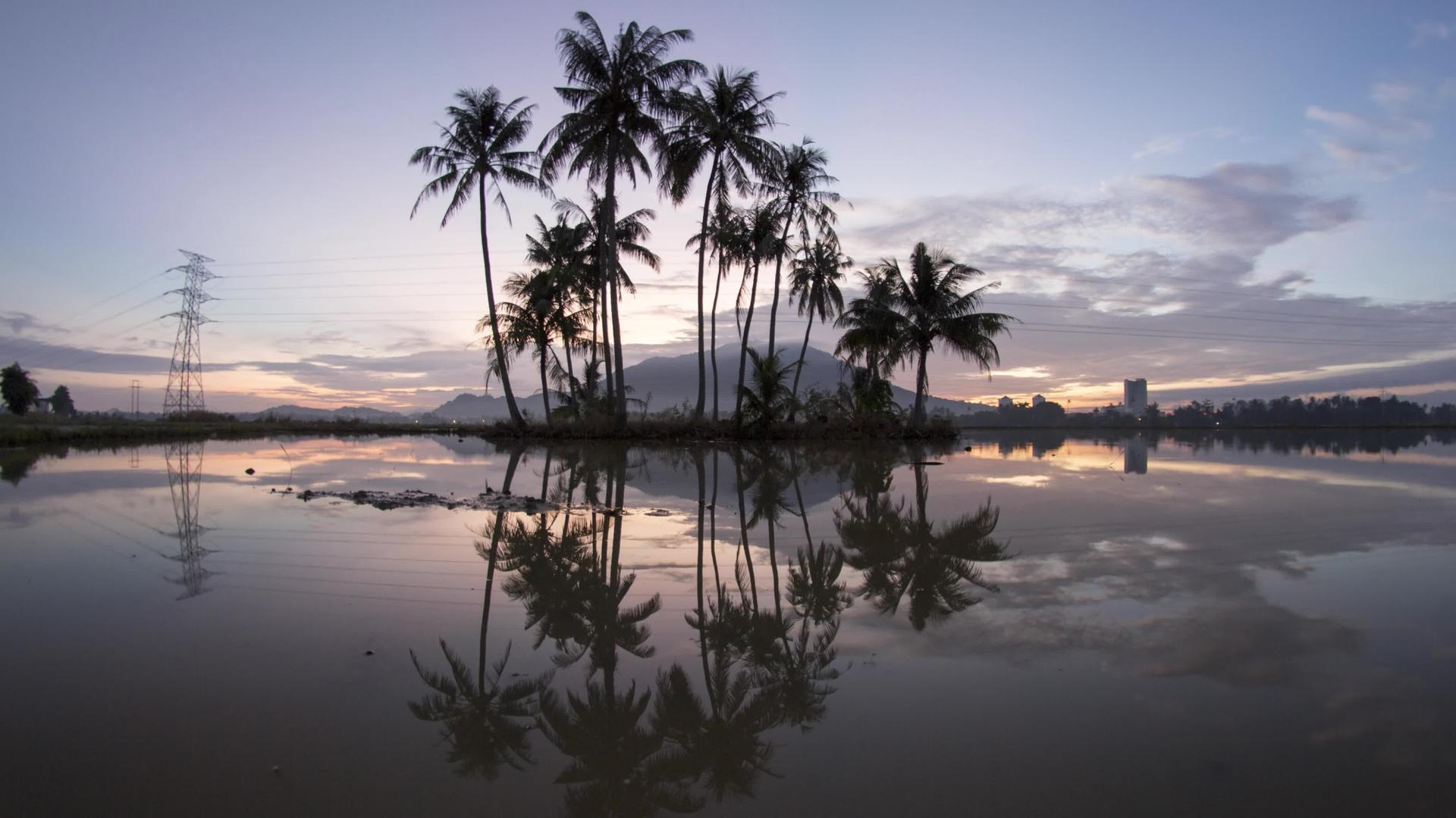 日出在椰子岛BukitMertajam水中反射视频的预览图