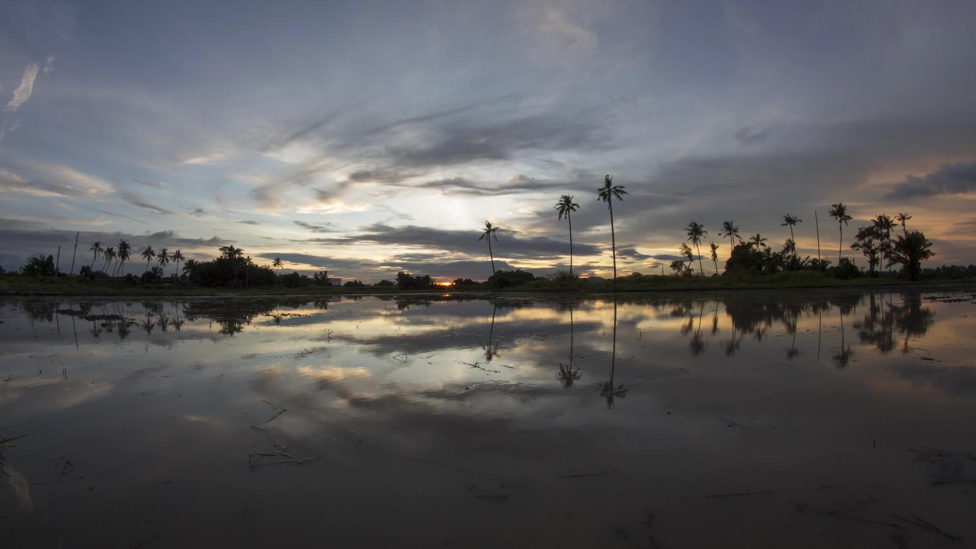 椰子树的日落时间视频的预览图