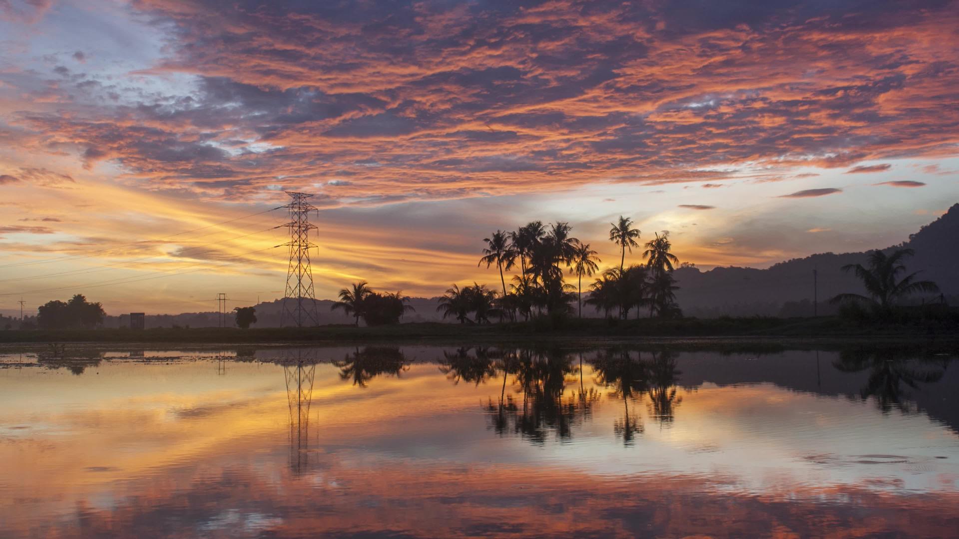 红火云日落在电塔和椰子树上视频的预览图