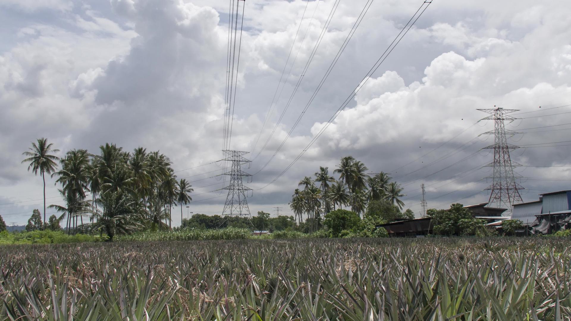 松果农场的云天多云背景是电塔视频的预览图