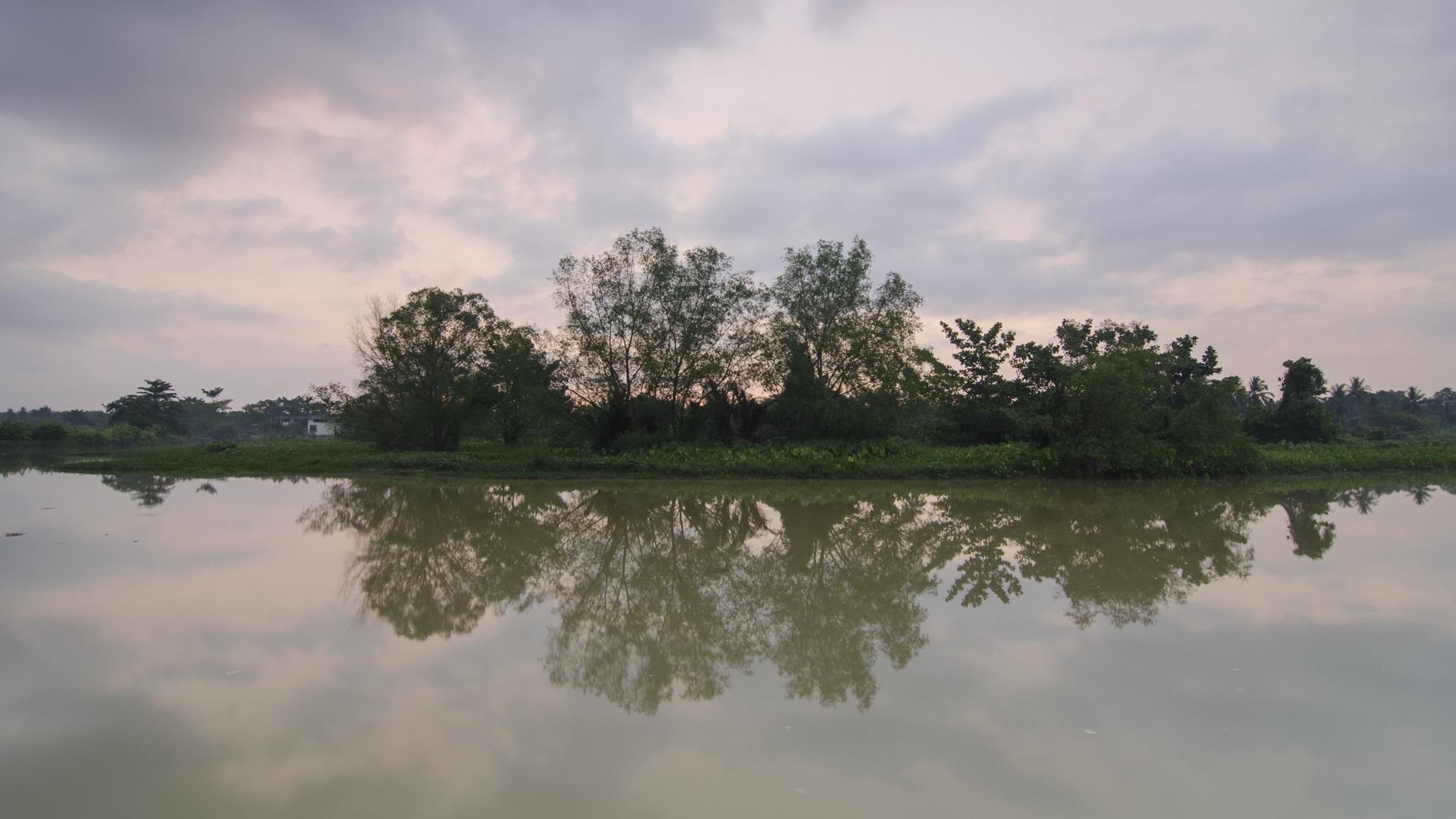 黄昏的景象是每条河流中的树木视频的预览图