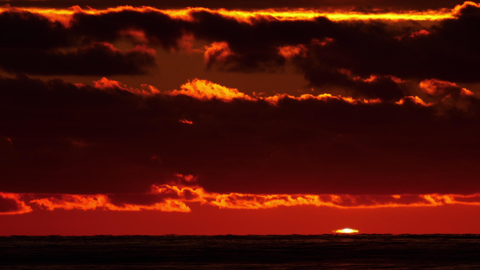 海边迷人的日落视频的预览图
