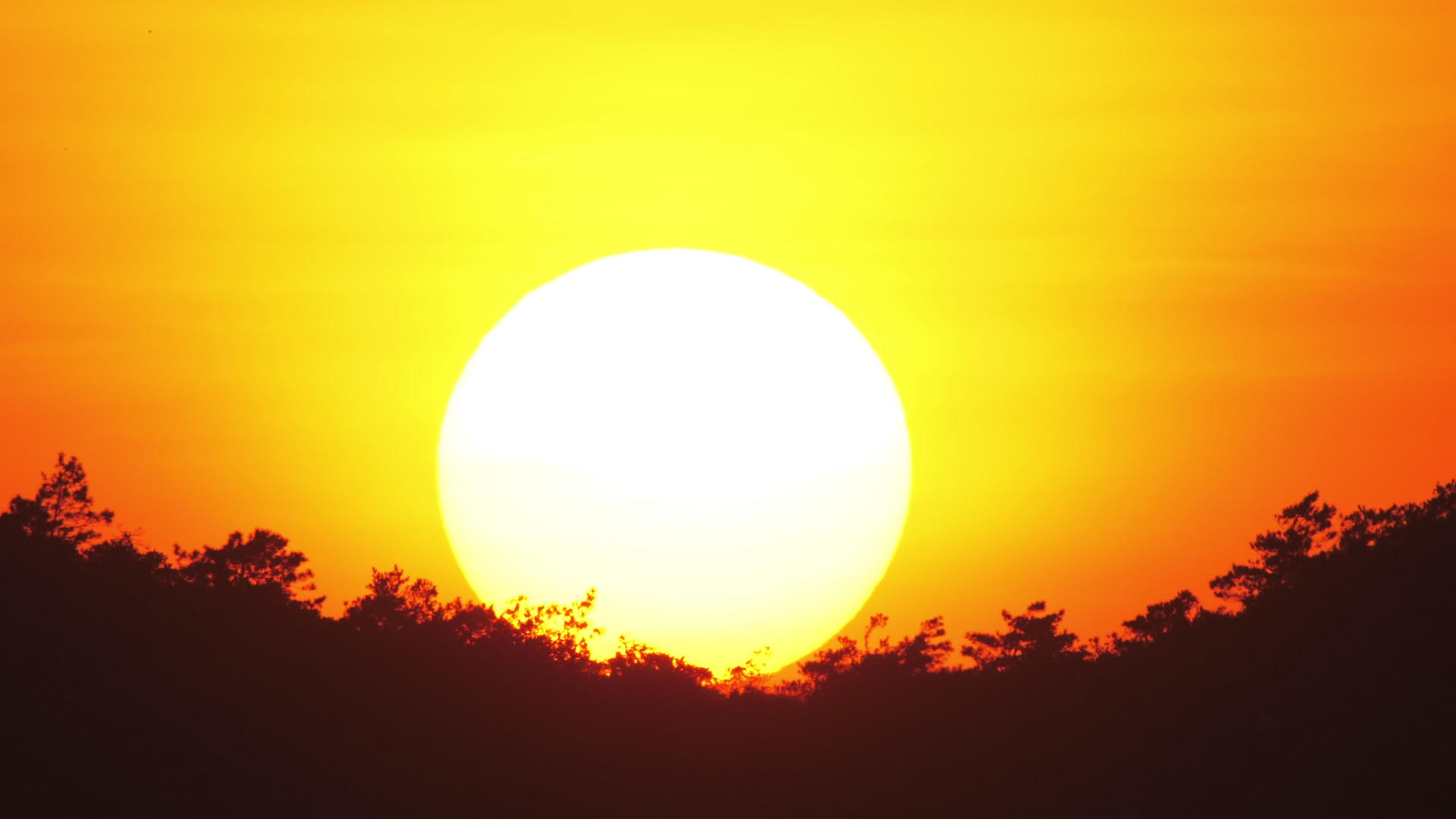 太阳升起的视线视频的预览图