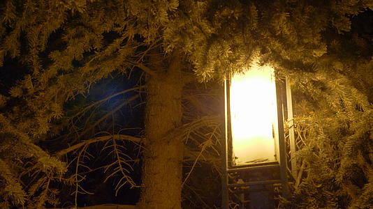 冬天雪瀑上的风树和灯笼圣诞节和新年视频的预览图