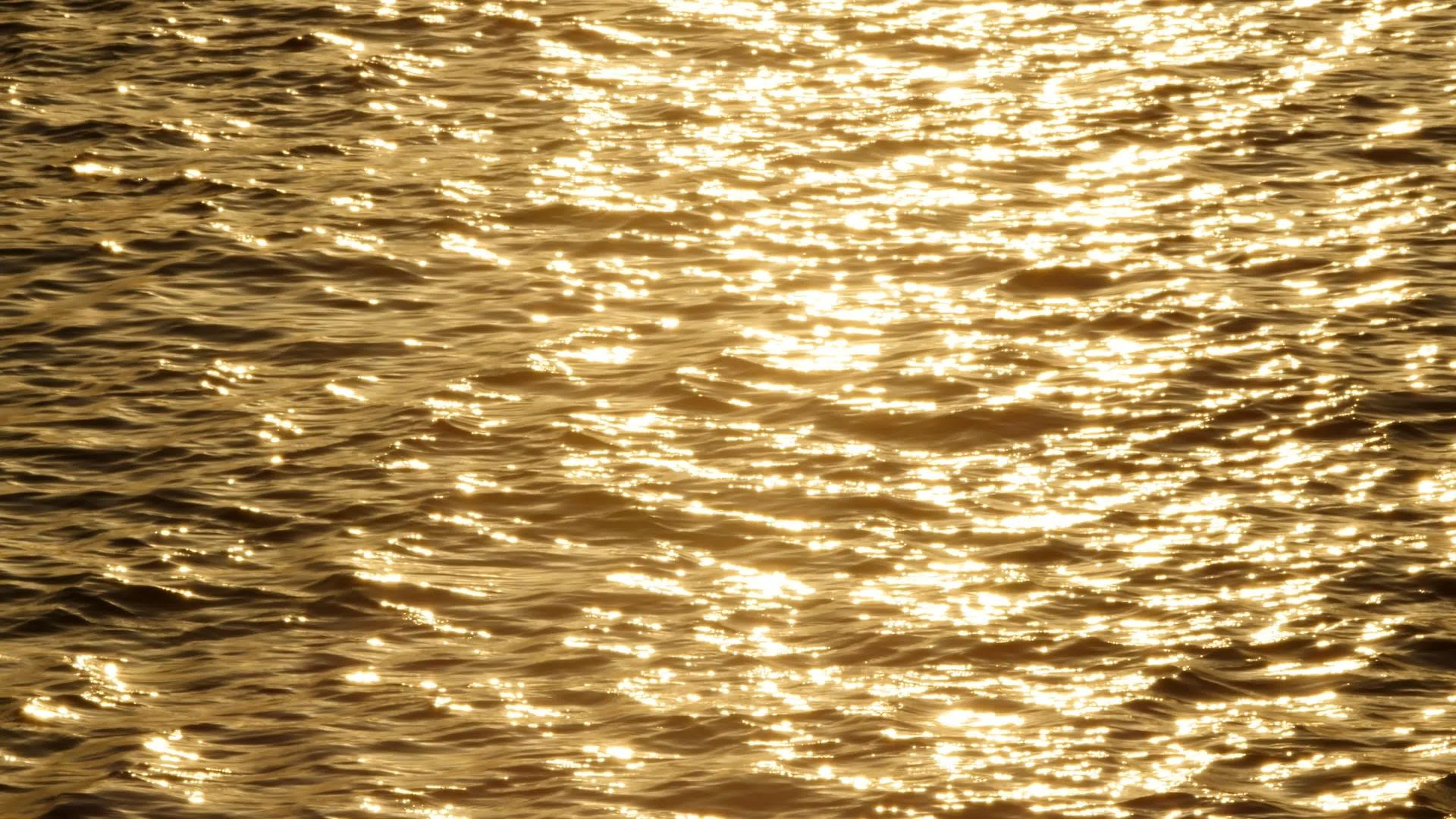 日出时金色的波浪在水面上缓慢移动金色的波浪在水面上闪烁视频的预览图