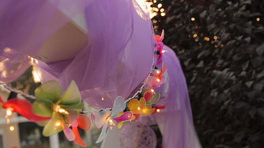 节日花花形光派对装饰视频的预览图