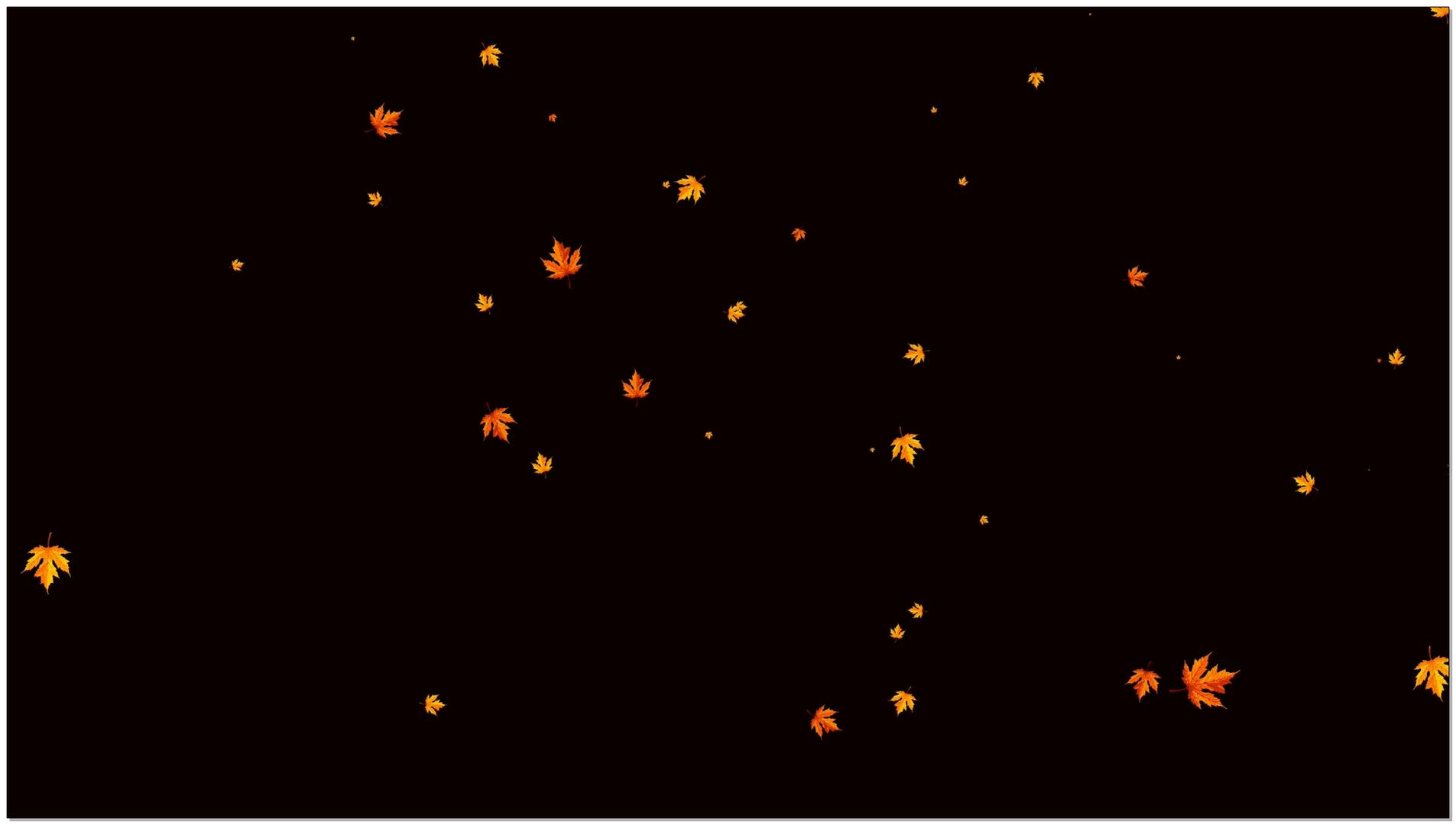 枫叶飘落视频的预览图