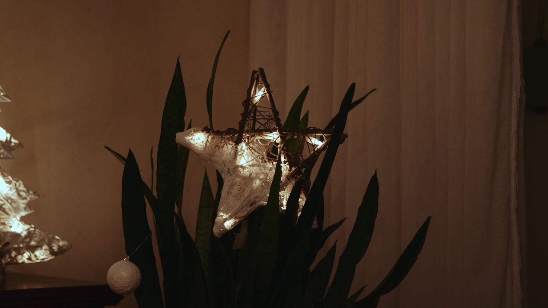 圣诞星星用灯光装饰房屋植物视频的预览图