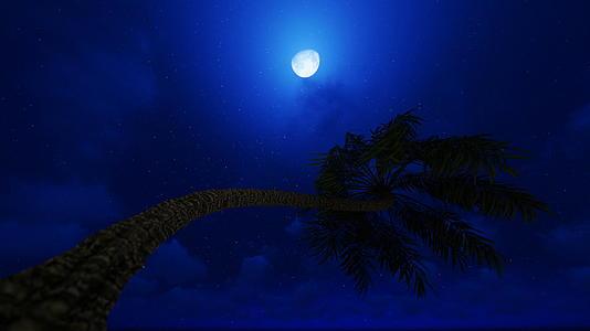当满月在星空中棕榈树日夜倒在天空中视频的预览图