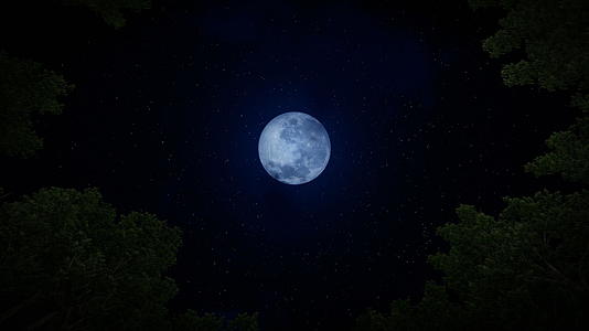 仰望满月时空在星空中折叠放大4000朵视频的预览图