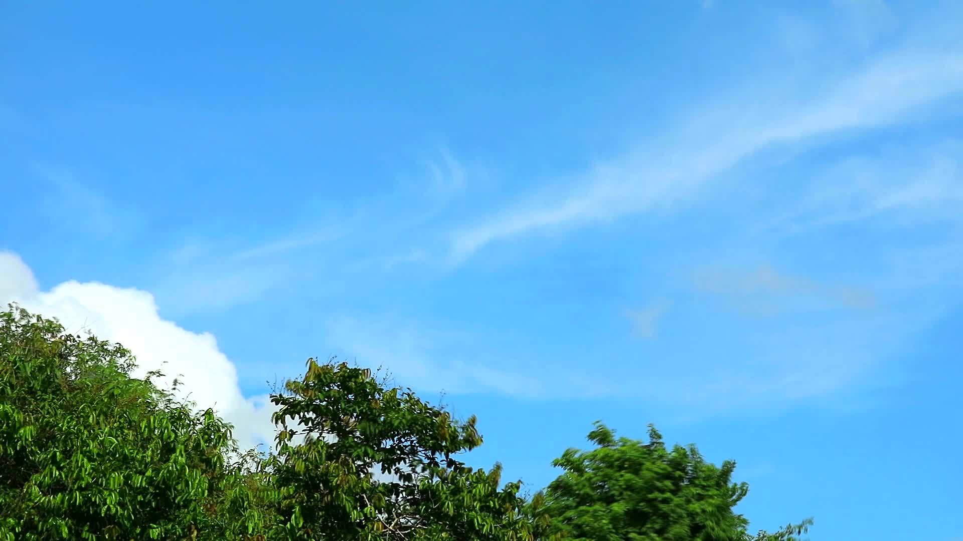 蓝天纯白云移动绿树1视频的预览图
