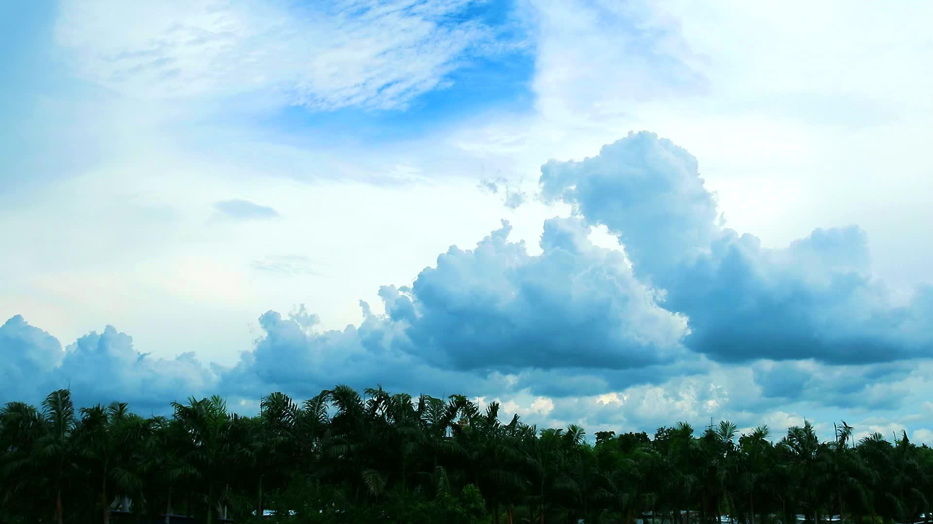 蓝色天空中的纯云通过绿顶树和鸟儿飞翔视频的预览图