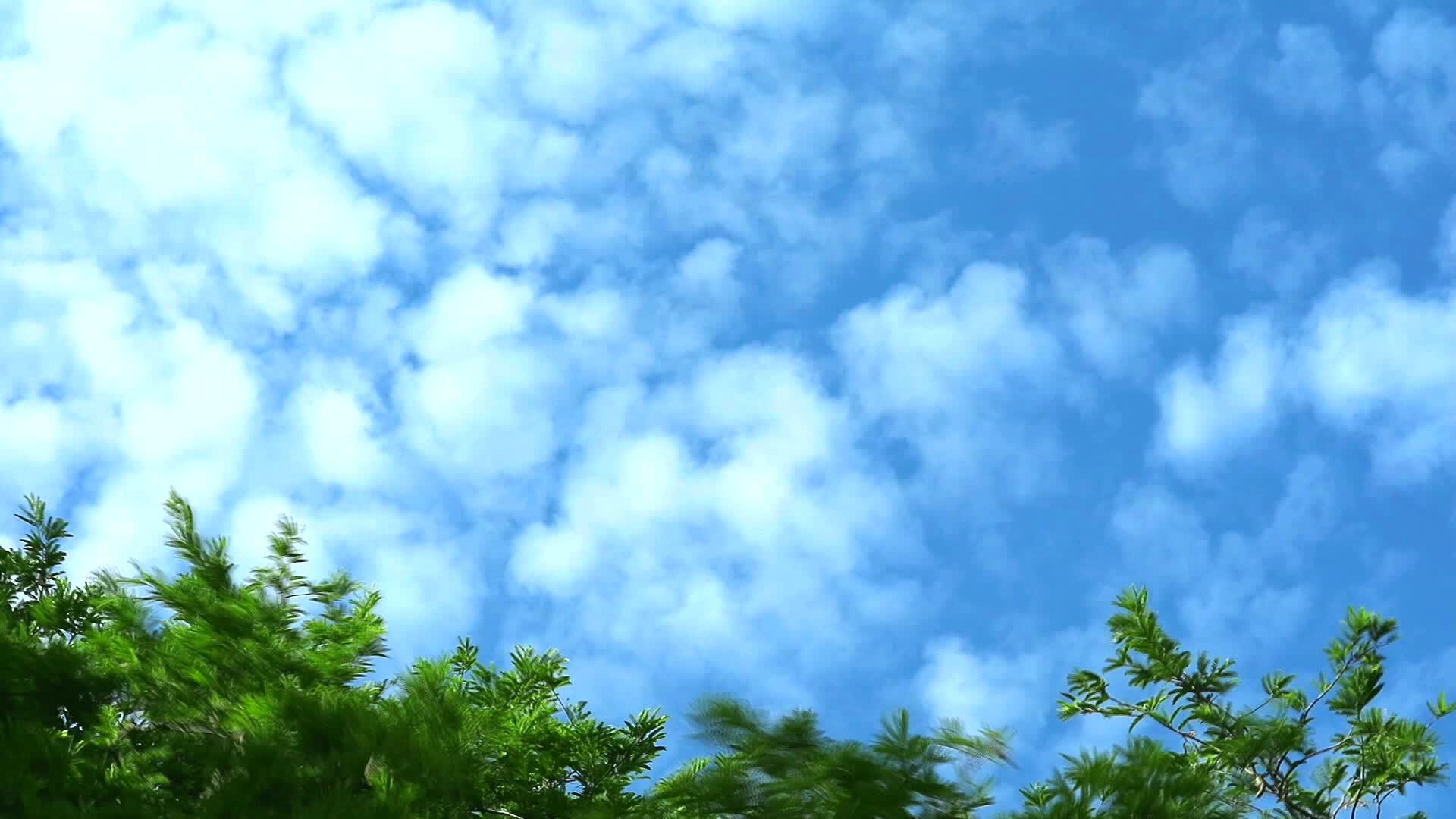 蓝天纯云移动绿色视频的预览图