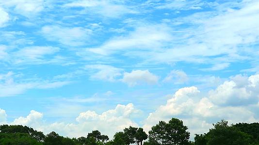 纯蓝色的天空有云移过绿色的顶部植物树木的青色天体视频的预览图